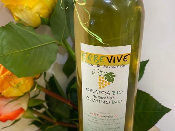 GRAPPA BIO AI SEMI DI CUMINO 350ml