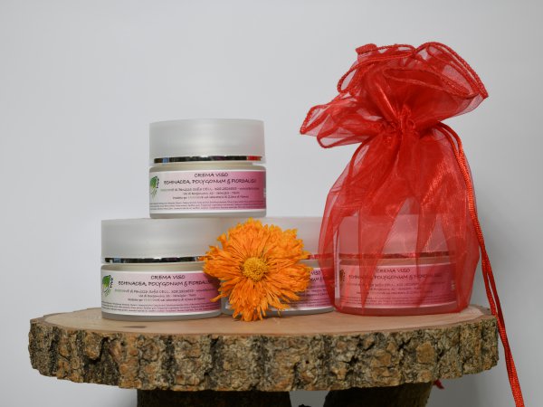 CREMA VISO con ECHINACEA 