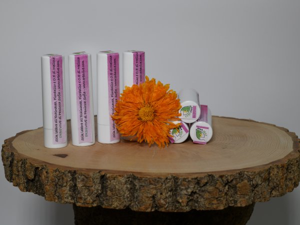 STIK LABBRA con ECHINACEA